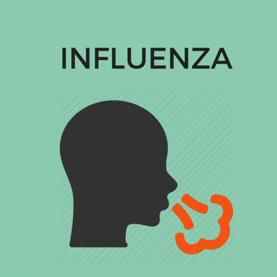 influenza-blog-flu-sehatpk-healthcare-at-your-doorstep-blog-sehat-com-pk