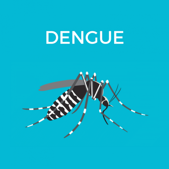 dengue-fever-sehatpk-online-pharmacy-pakistan-blog-health-care-atyour-doorstep-dengue-fever